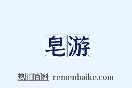 皂游是什么意思的图片